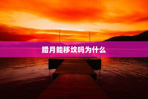 腊月能移坟吗为什么
