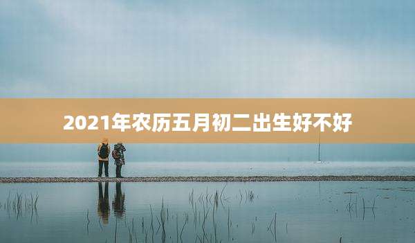 2021年农历五月初二出生好不好