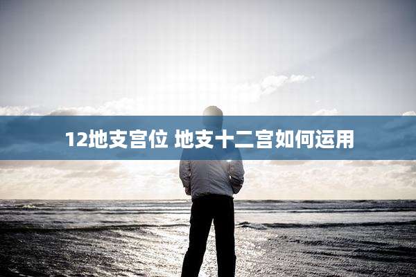 12地支宫位 地支十二宫如何运用