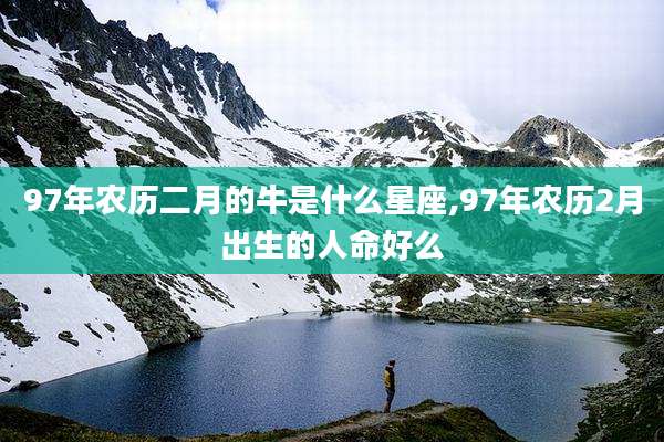 97年农历二月的牛是什么星座,97年农历2月出生的人命好么