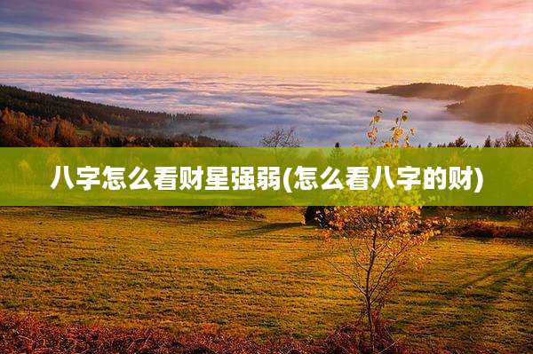 八字怎么看财星强弱(怎么看八字的财)