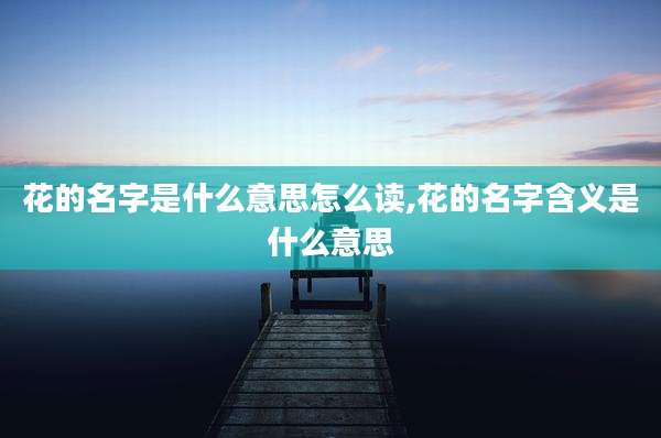花的名字是什么意思怎么读,花的名字含义是什么意思
