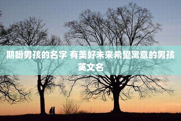 期盼男孩的名字 有美好未来希望寓意的男孩英文名