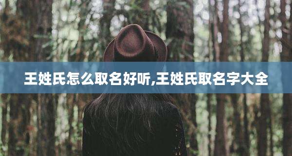 王姓氏怎么取名好听,王姓氏取名字大全