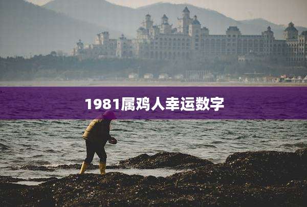 1981属鸡人幸运数字