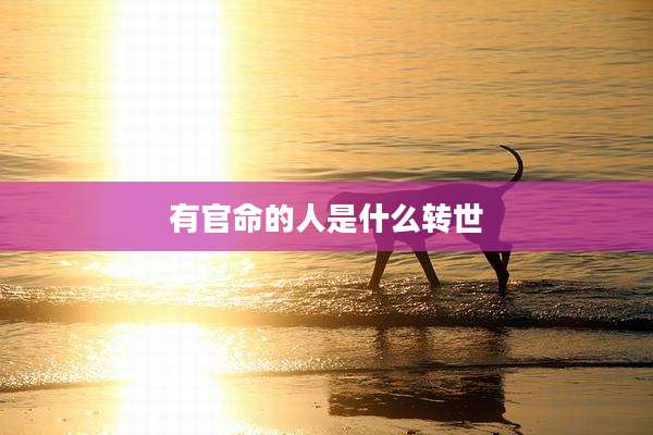 有官命的人是什么转世