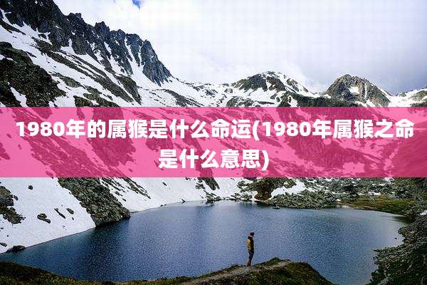 1980年的属猴是什么命运(1980年属猴之命是什么意思)