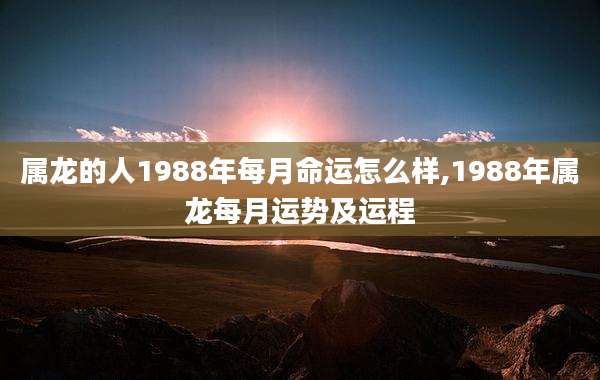 属龙的人1988年每月命运怎么样,1988年属龙每月运势及运程