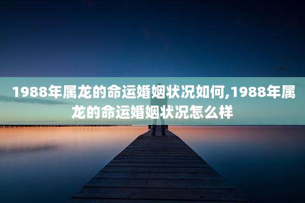 1988年属龙的命运婚姻状况如何,1988年属龙的命运婚姻状况怎么样