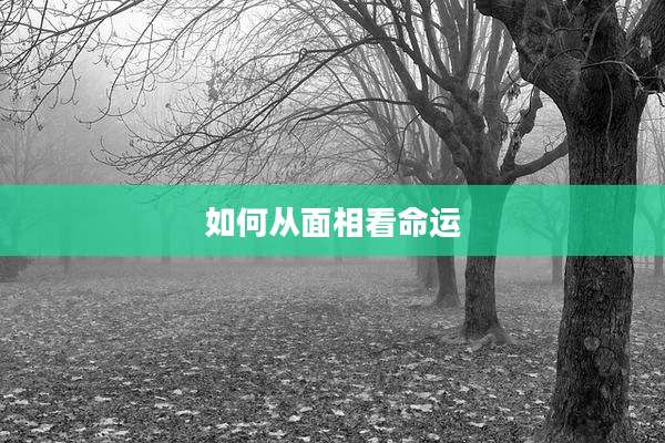 如何从面相看命运