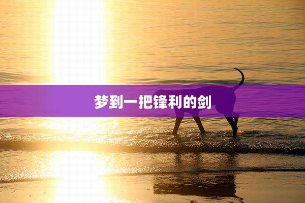 梦到一把锋利的剑
