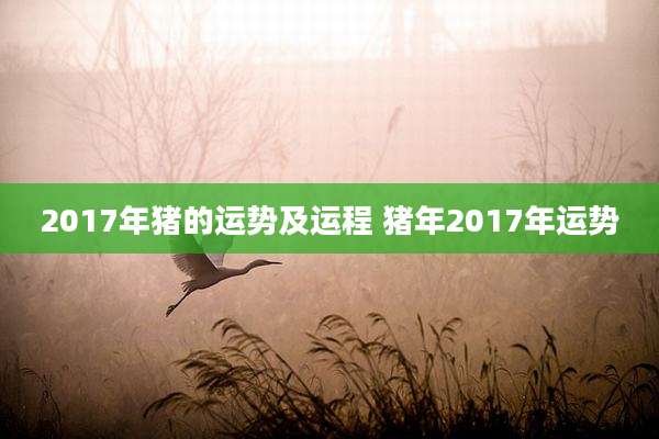 2017年猪的运势及运程 猪年2017年运势