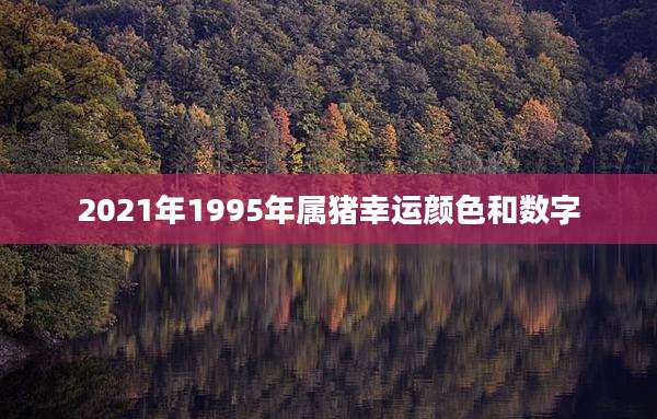 2021年1995年属猪幸运颜色和数字