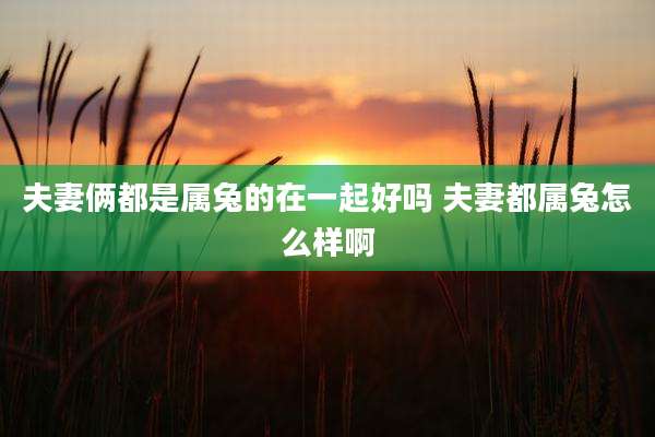 夫妻俩都是属兔的在一起好吗 夫妻都属兔怎么样啊
