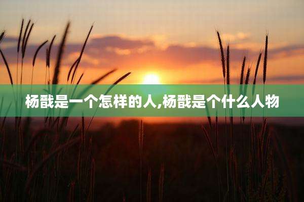 杨戬是一个怎样的人,杨戬是个什么人物