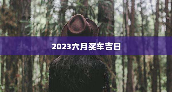 2023六月买车吉日