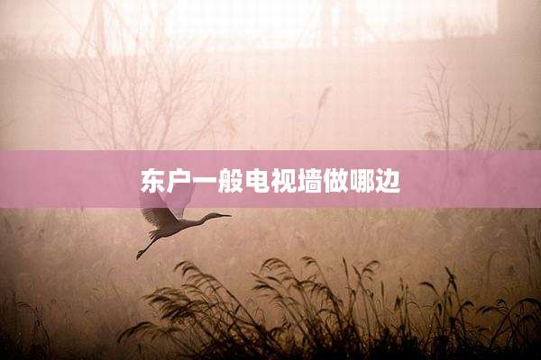 东户一般电视墙做哪边