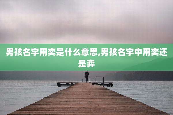 男孩名字用奕是什么意思,男孩名字中用奕还是弈