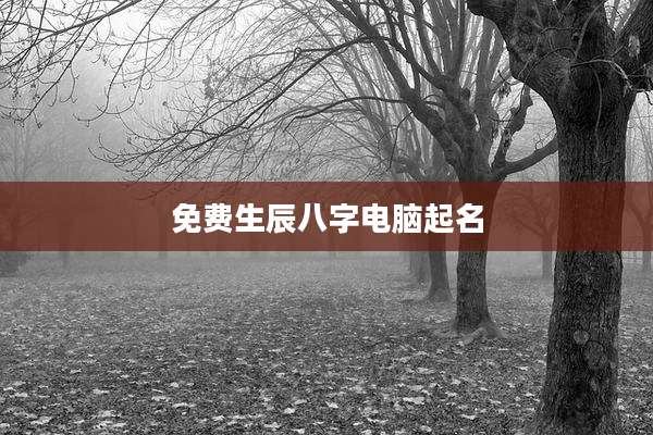 免费生辰八字电脑起名
