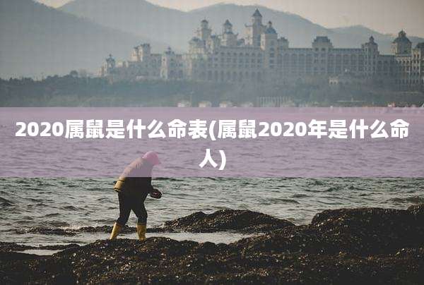 2020属鼠是什么命表(属鼠2020年是什么命人)