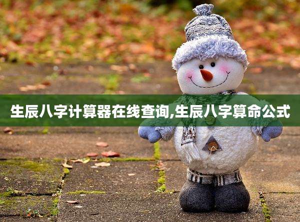 生辰八字计算器在线查询,生辰八字算命公式