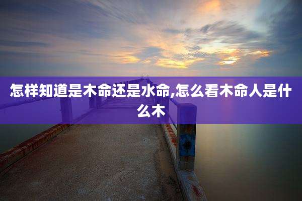怎样知道是木命还是水命,怎么看木命人是什么木