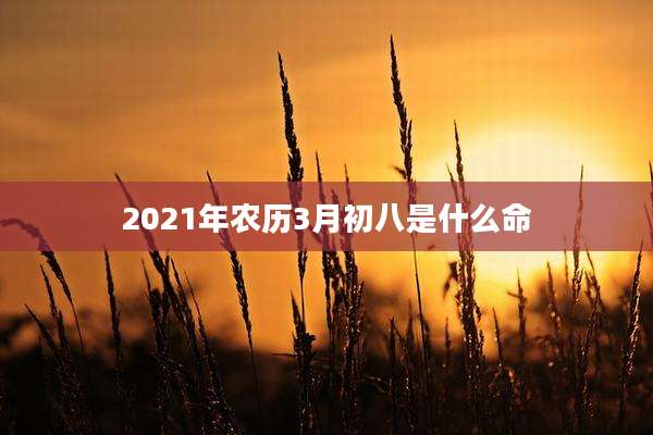 2021年农历3月初八是什么命