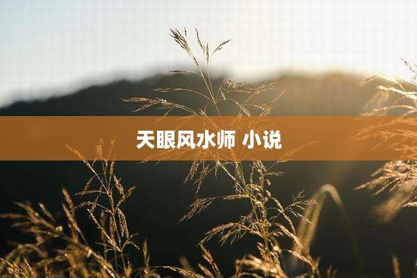 天眼风水师 小说