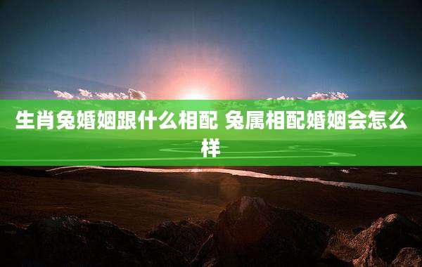 生肖兔婚姻跟什么相配 兔属相配婚姻会怎么样