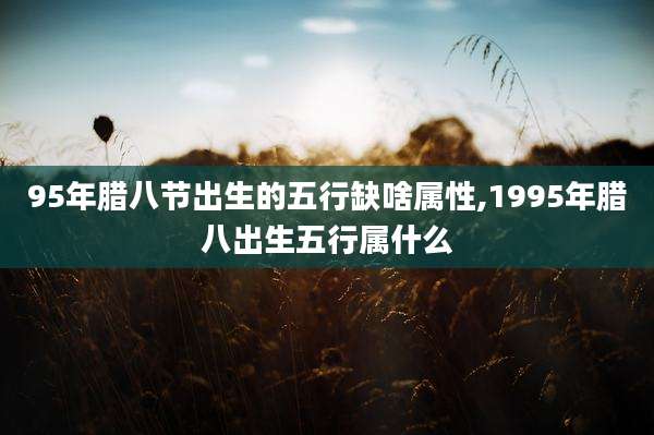 95年腊八节出生的五行缺啥属性,1995年腊八出生五行属什么