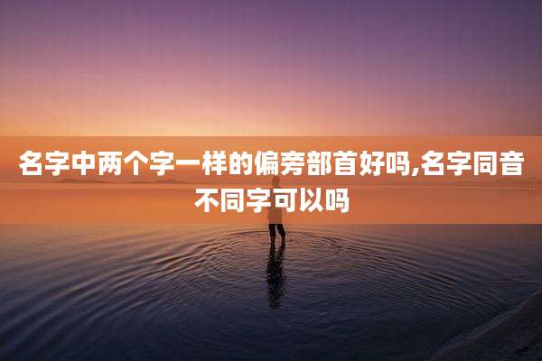 名字中两个字一样的偏旁部首好吗,名字同音不同字可以吗