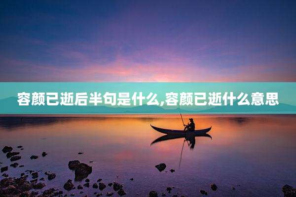容颜已逝后半句是什么,容颜已逝什么意思