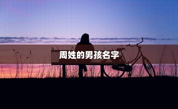 周姓的男孩名字
