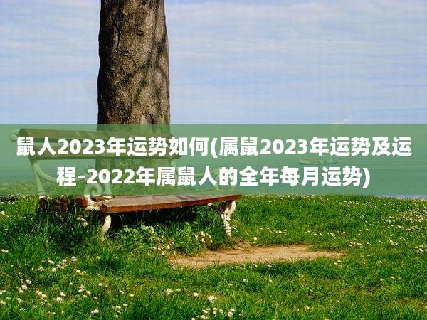 鼠人2023年运势如何(属鼠2023年运势及运程-2022年属鼠人的全年每月运势)