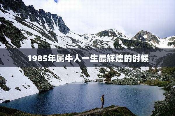 1985年属牛人一生最辉煌的时候