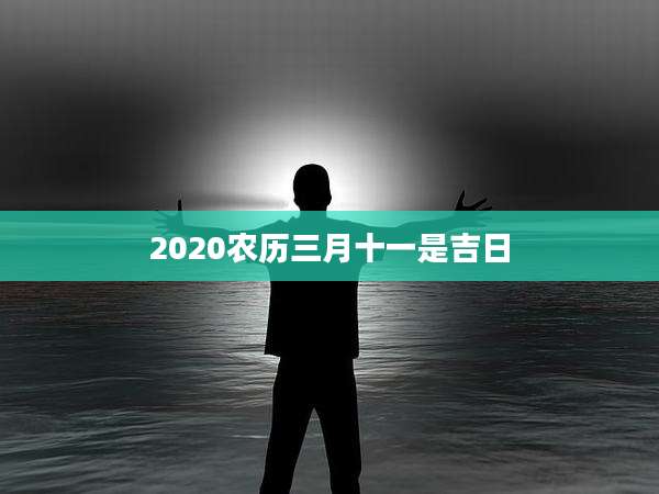 2020农历三月十一是吉日