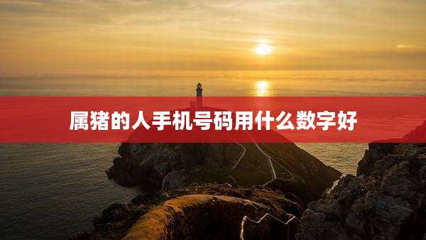 属猪的人手机号码用什么数字好