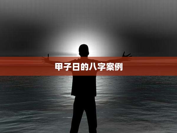 甲子日的八字案例