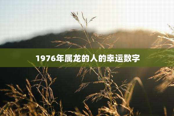 1976年属龙的人的幸运数字