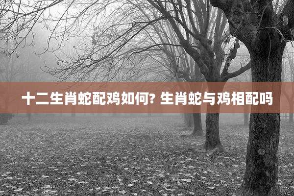 十二生肖蛇配鸡如何? 生肖蛇与鸡相配吗
