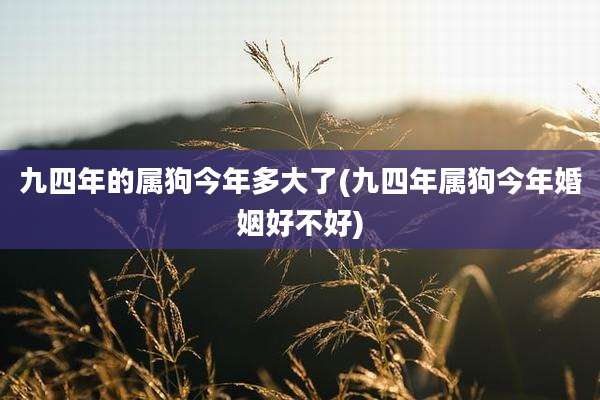 九四年的属狗今年多大了(九四年属狗今年婚姻好不好)