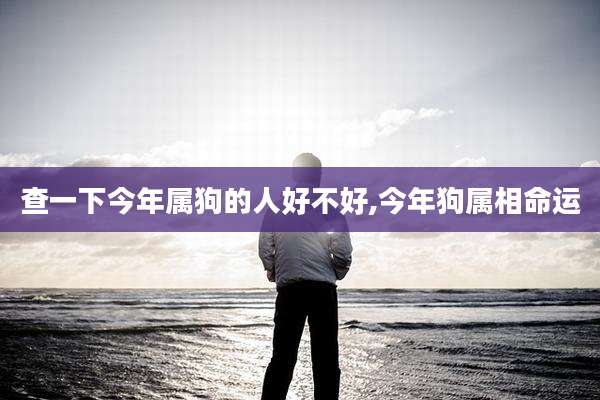 查一下今年属狗的人好不好,今年狗属相命运