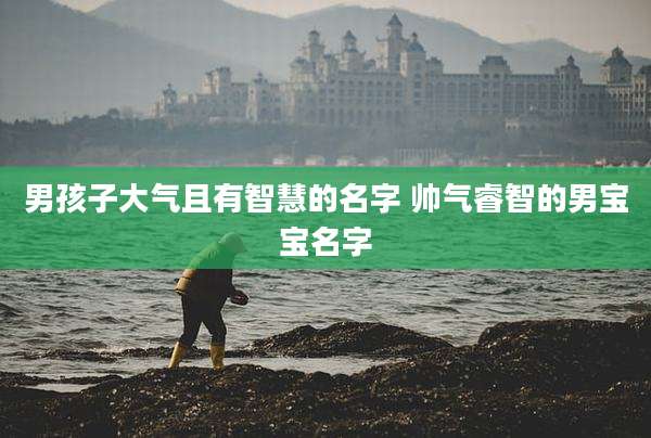 男孩子大气且有智慧的名字 帅气睿智的男宝宝名字