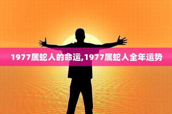 1977属蛇人的命运,1977属蛇人全年运势
