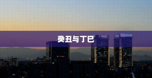 癸丑与丁巳