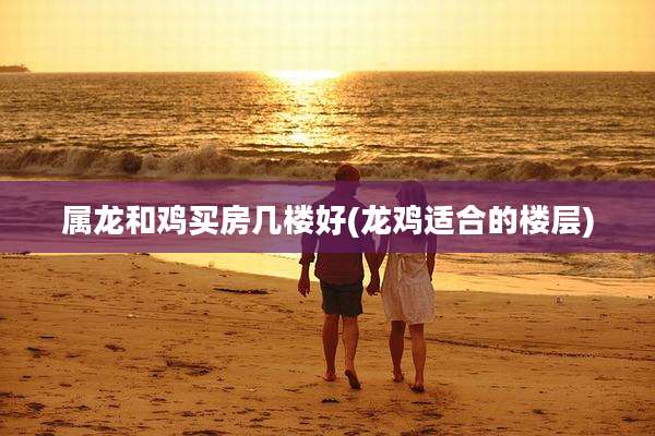 属龙和鸡买房几楼好(龙鸡适合的楼层)
