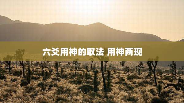 六爻用神的取法 用神两现