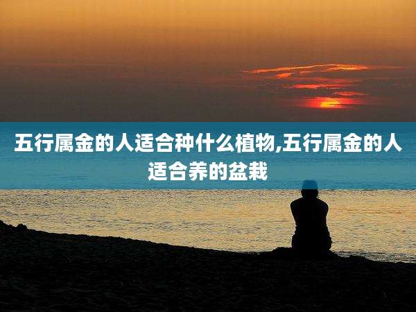 五行属金的人适合种什么植物,五行属金的人适合养的盆栽