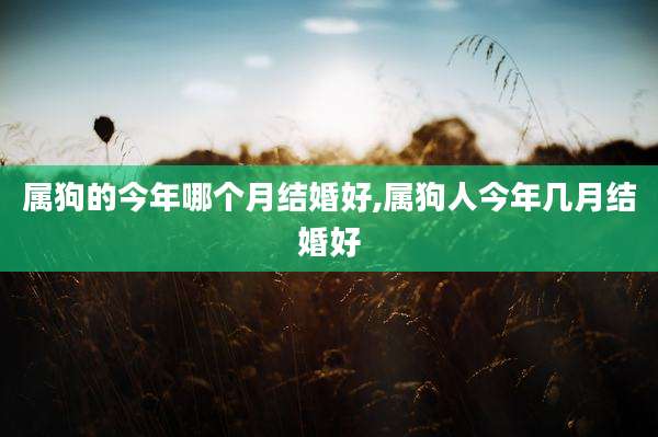 属狗的今年哪个月结婚好,属狗人今年几月结婚好