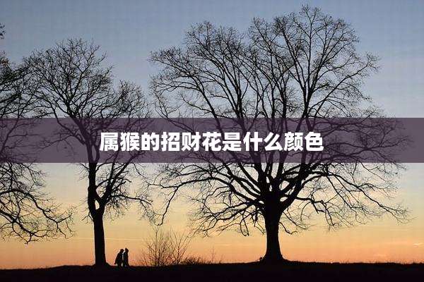 属猴的招财花是什么颜色
